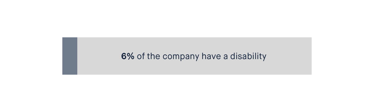 Bar showing that 6% of people in the company have a disability.